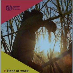 ILO: Heat at work: Implications for safety and health